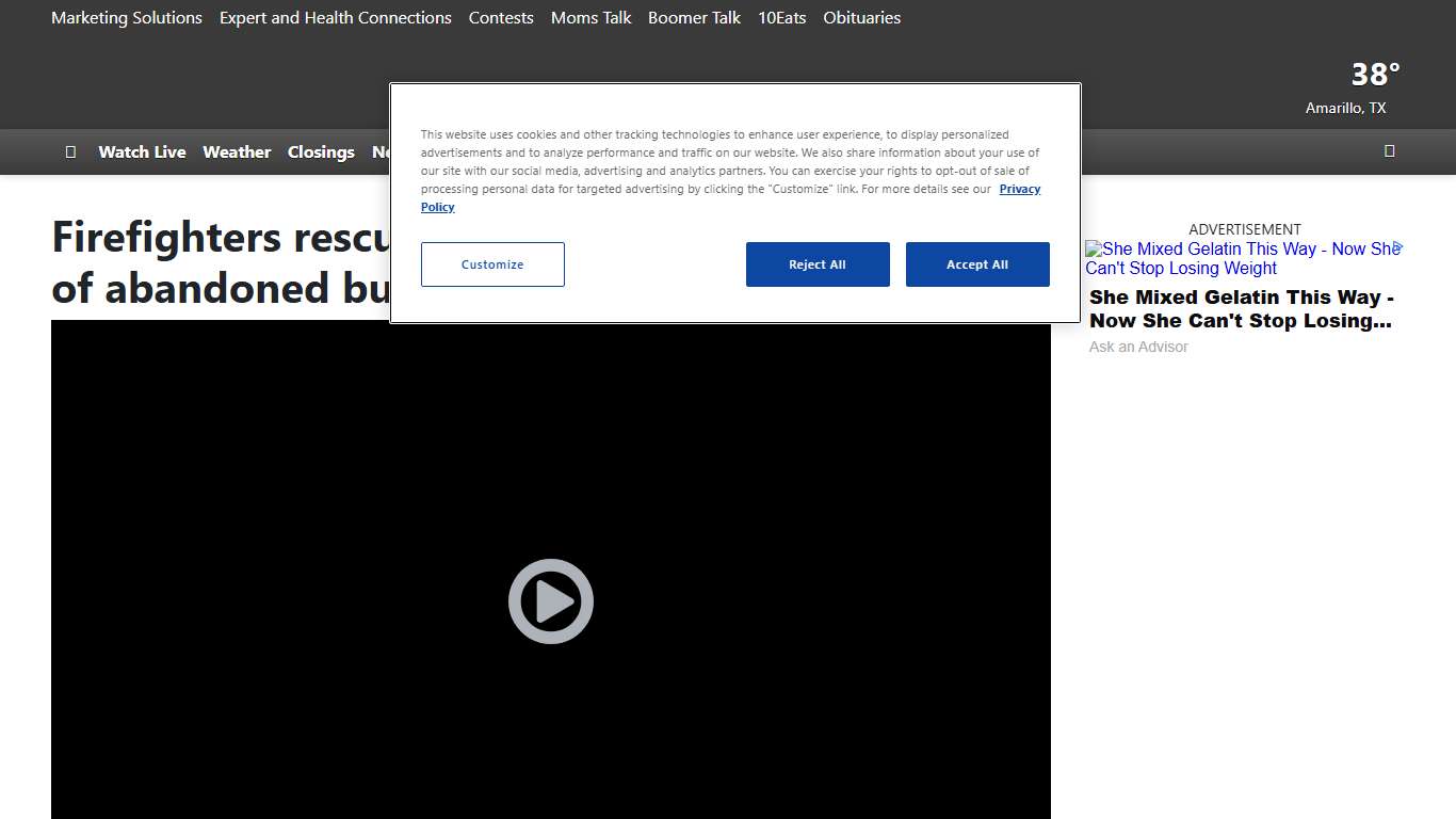 Firefighters rescue puppy found alive in back seat of abandoned burning car